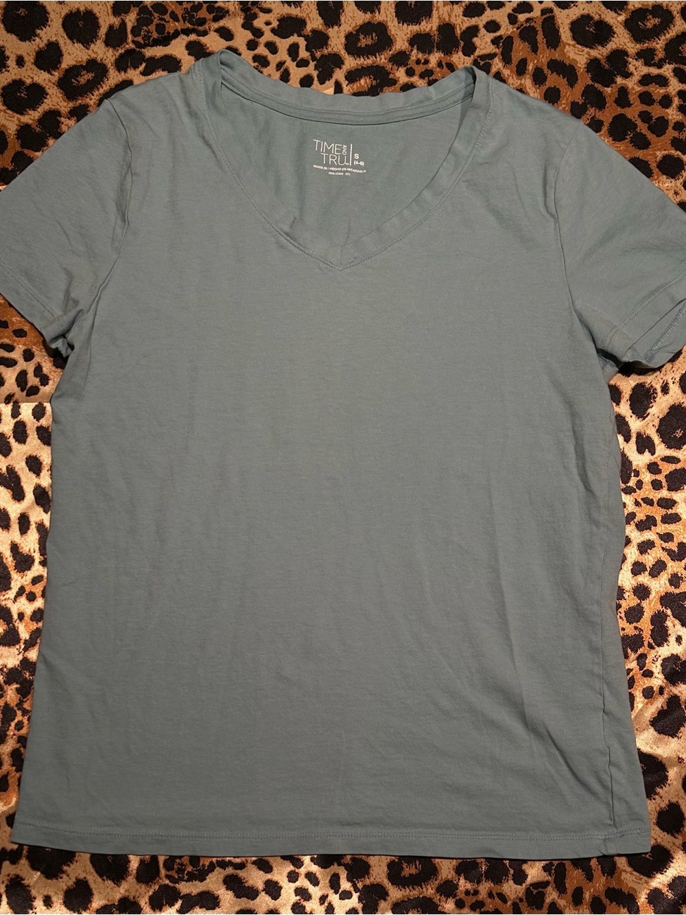 Time and Tru Women's Light Blue V-Neck Short Sleeve T-Shirt